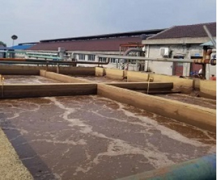 出水氨氮大于進水氨氮，怎么回事？