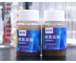 生化系統(tǒng)崩潰，氨氮超標(biāo)，我該怎么辦?