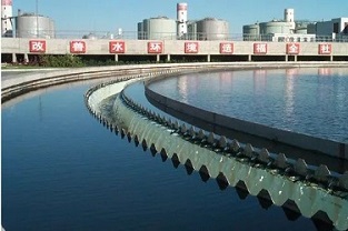 反硝化浮泥該如何預(yù)防？你知道嗎？