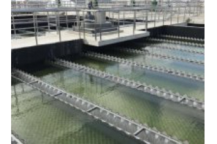 【干貨】有機物導致的氨氮超標?這種情況該如何處理呢？