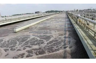【重要】水中溶解氧越高，處理效果越好么？