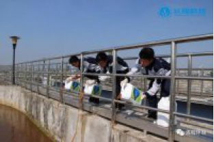 碳氮比失調(diào)，總氮超標(biāo)怎么辦